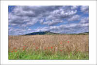 hdr-kornfeld.jpg (85740 Byte)